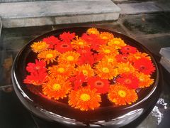 -THAI OASIS SPA 绿洲泰疗泰式按摩SPA