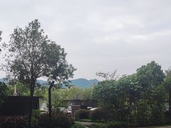 -美的鹭湖森林度假区