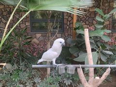 -南宫五洲植物乐园