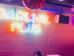 -Darling Queen·Mini·Live·House