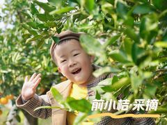 -前小桔亲子创意农场·草莓采摘·露营烧烤