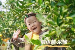 -前小桔亲子创意农场·草莓采摘·露营烧烤