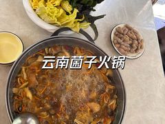 -野菌王•养生汤锅•野生菌火锅(大理漾濞路店)
