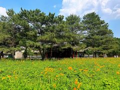 -承德避暑山庄景区