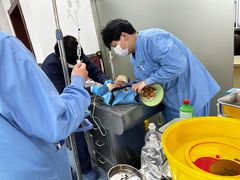 -顺强宠物诊所·狂犬免疫·夜诊·骨科(嘉定店)