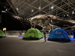 -世界恐龙谷景区