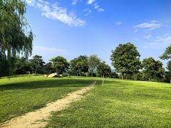 -北京西山国家森林公园