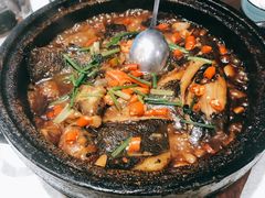 经典石锅碟鱼头-船家渔(徐州北路店)