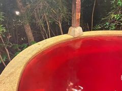 -天目湖涵田半山温泉