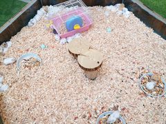 -高新活力汇Vitality