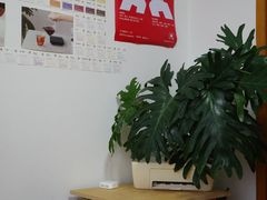 -纽巷咖啡 SOFTFOCUS COFFEE(锦和巴黎时韵店)