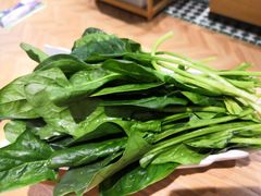 菠菜-煲大王猪肚鸡·椰子鸡火锅(红谷滩万达店)