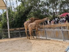 -泉州海丝野生动物世界