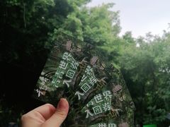 -青青世界