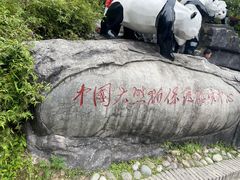 -都江堰中华大熊猫苑