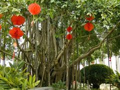 -南宁花花大世界景区