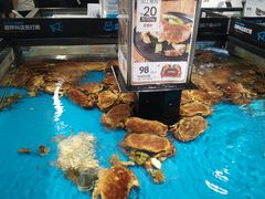 -盒马鲜生(岭南新世界店)