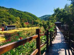 -参仙谷生态旅游度假区