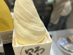 -野人先生现做冰淇淋(深圳壹方城店)