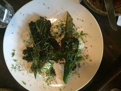 -Ocean's Table 欧舍