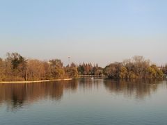 -莱西月湖公园