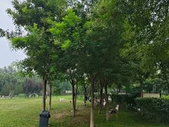 -爪吧宠物乐园 (温榆河示范区店)