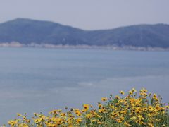 -东极岛景区