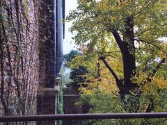-逸廊大堂吧-下午茶·简餐-千岛湖自由洲际殿