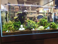 -阿莉餐厅(枣阳路店)