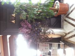 android_upload_pic-蓝山咖啡馆(钱江龙店)