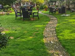 -大可堂普洱茶馆(襄阳南路馆)