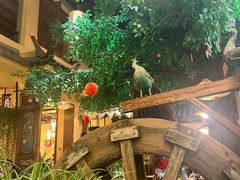 -大理董·董家小厨野生菌火锅(古城旗舰店)