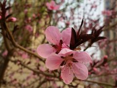 -招商银行(北京双榆树支行)