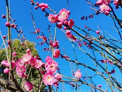 -狼山风景名胜区