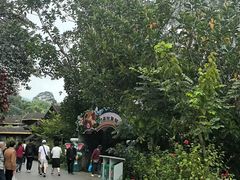 -野象谷景区