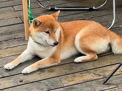 -东信·和创园