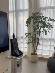 -JNK皮肤管理中心