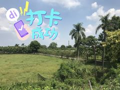 -芬芳甜品(同福路店)