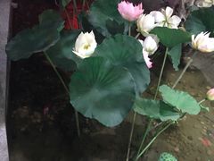 -苏浙徽·江南荟·本味融合菜(相城方圆里店)