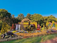 -上海共青森林公园