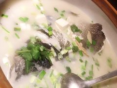 姜君千岛湖鱼头-姜君·千岛湖鱼头馆(浦东大道店)