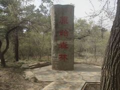 -大青沟风景区