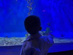 -太平洋海底世界