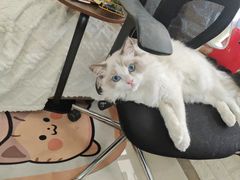 -猫遇摄影工作室