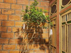 -西关84·History·Art·Cafe