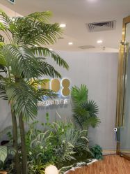-八佰伴8008星级形象店