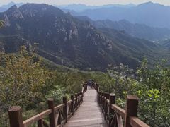 -大岭沟猕猴桃谷风景区