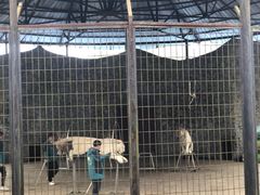 -贵州森林野生动物园