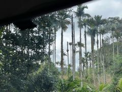 -海南热带雨林国家公园吊罗山景区