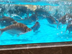 -艳阳天·非遗楚菜(武汉客厅店)